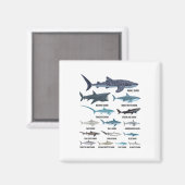 サメの種類サメ種同定海 マグネット (正面/裏面)