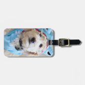 サメの衣装を着たゴルデンドル ラゲッジタグ (正面横)