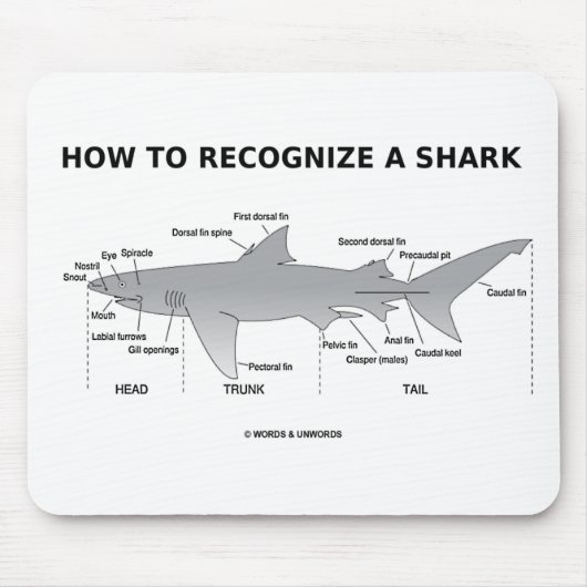 サメの見分け方（生物学のユーモア） マウスパッド (正面)