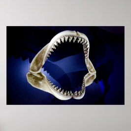 サメの顎と歯のポスター14.95 ポスター