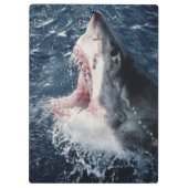 サメの高揚口が開いている クリップボード (裏面)