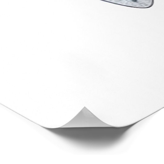 サメスケッチ ポスター (角)