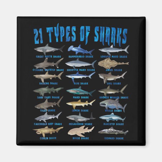サメ好き21種のサメ海動物 マグネット (正面)
