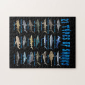 サメ好き21種サメ海動物 ジグソーパズル (横)