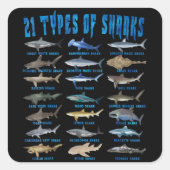サメ好き21種サメ海動物 スクエアシール (正面)