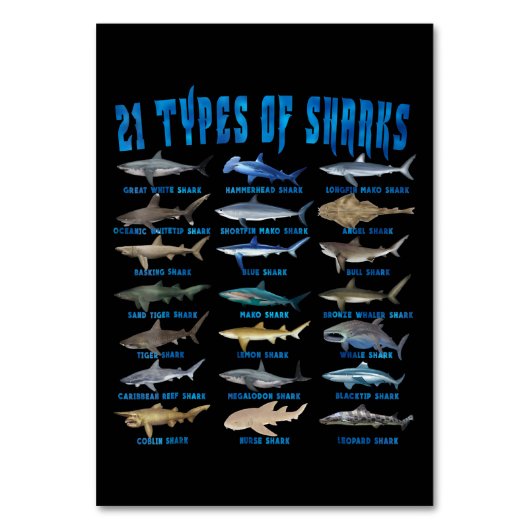 サメ好き21種サメ海動物 テーブルナンバー (正面)