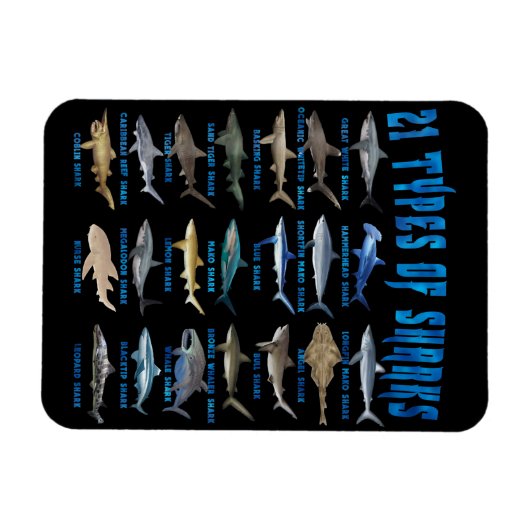 サメ好き21種サメ海動物 マグネット (横)