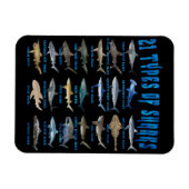 サメ好き21種サメ海動物 マグネット (横)