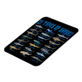 サメ好き21種サメ海動物 マグネット (左側)