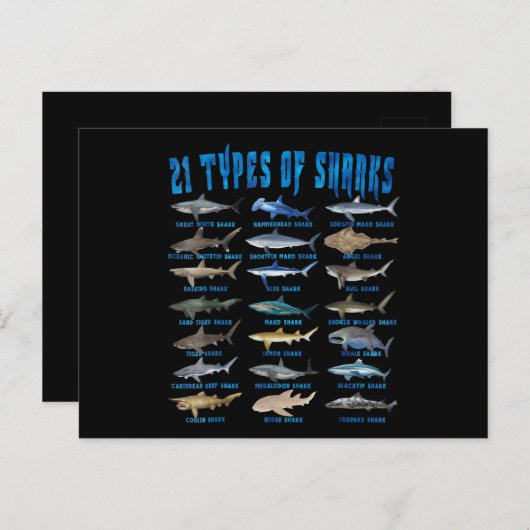 サメ好き21種サメ海動物 案内ポストカード (正面/裏面)