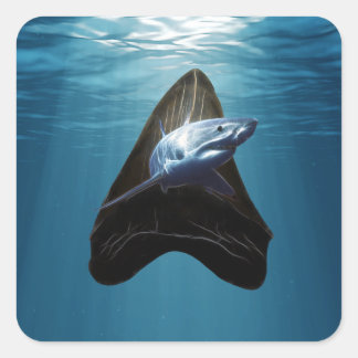 サメ歯海 スクエアシール