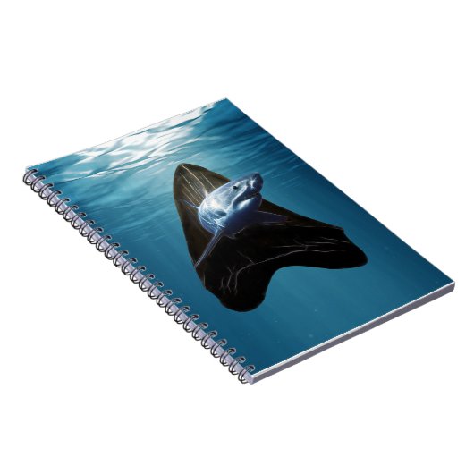 サメ歯海 ノートブック (右側)