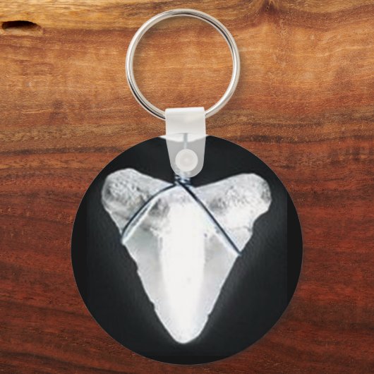 サメ歯 キーホルダー (正面)
