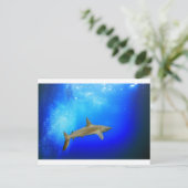 サメ水中深いブルー海 ポストカード (スタンド正面)