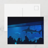 サメ水槽展示水族館 ポストカード (正面/裏面)