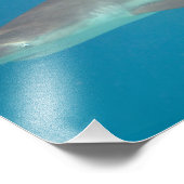 サメ水泳水中写真プリント フォトプリント            (角)