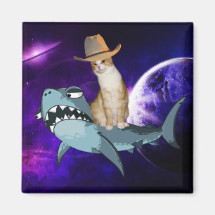 サメ磁石を宇宙にした猫 マグネット
