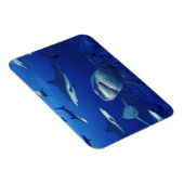 サメ磁石 マグネット (右側)