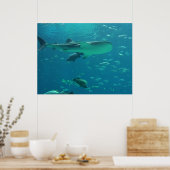 サメ礁 ポスター (キッチン)