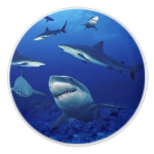 サメ製のセラミックキャビネットのノブ セラミックノブ (正面)