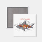 サメ解剖学 マグネット (正面/裏面)