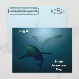 サメ認識度の日 – 7月14日 – はがき シーズンポストカード