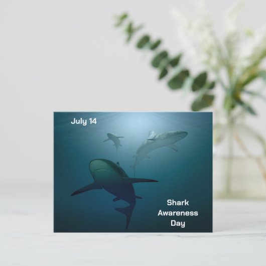 サメ認識度の日 – 7月14日 – はがき シーズンポストカード (スタンド正面)