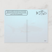 サメ認識度の日 – 7月14日 – はがき シーズンポストカード (裏面)