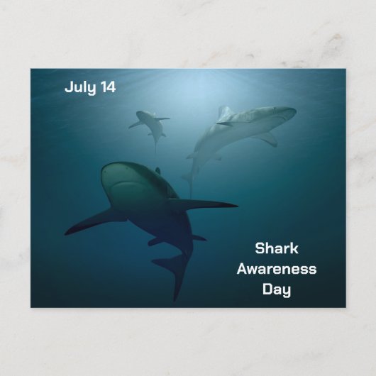 サメ認識度の日 – 7月14日 – はがき シーズンポストカード (正面)