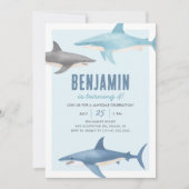 サメ誕生日招待状 招待状 (正面)