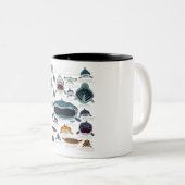 サメ顔どの顔に遭遇したい ツートーンマグカップ (正面右)