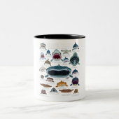 サメ顔どの顔に遭遇したい ツートーンマグカップ (中央)