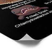 サメ顔どの顔に遭遇したい ポスター (角)