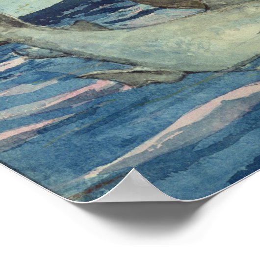 サメ魚釣り, 1885 ポスター (角)