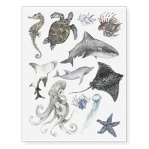 サメ イルカ タツノオトシゴ 珊瑚 海の野生生物