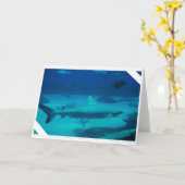 サメ カード (黄色い花)