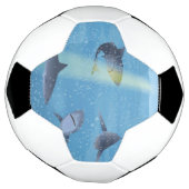 サメ サッカーボール (回転)