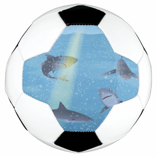 サメ サッカーボール (正面)