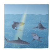 サメ タイル (正面)