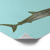 サメ ポスター (角)