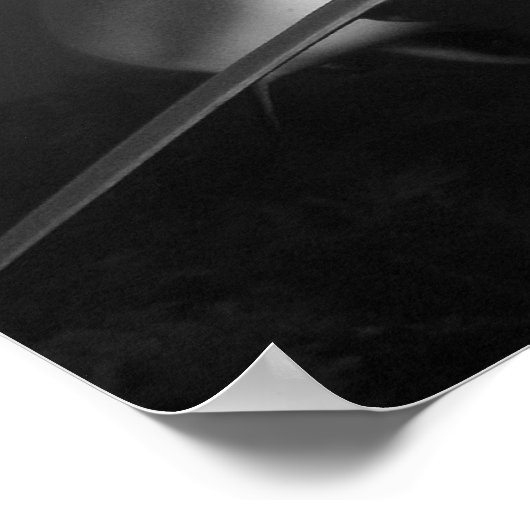 サメ ポスター (角)