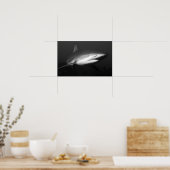 サメ ポスター (キッチン)