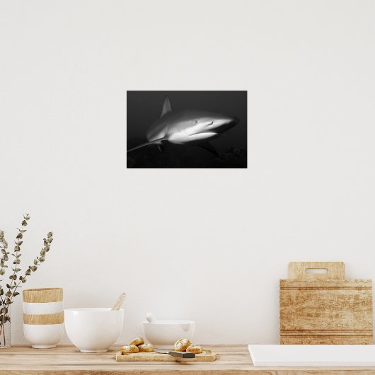 サメ ポスター (キッチン)