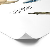 サメ ポスター (角)