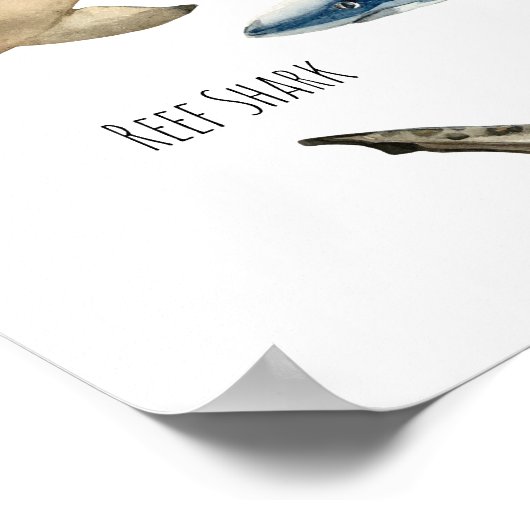 サメ ポスター (角)