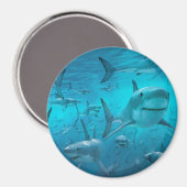 サメ マグネット (正面/裏面)