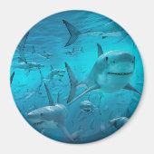 サメ マグネット (正面)