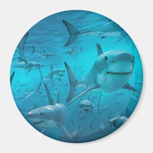 サメ マグネット (正面)