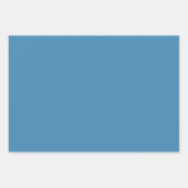 サメ ラッピングペーパーシート (正面3)