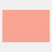 サメ ラッピングペーパーシート (正面2)